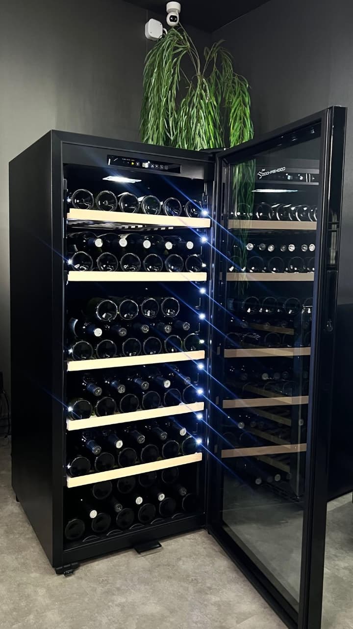 WhatsApp Image 2025-08-27 at 08.41